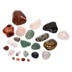 Disney Hobby Rock Tumbler – National Geographic -Disney 6103105633212 3